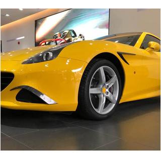 Coperture parafanghi anteriori in carbonio (2015-2018) Ferrari California 2008-2017 foto 3