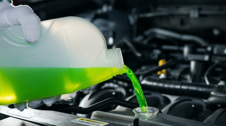 Come non sbagliare nella scelta dell’antigelo per l’auto