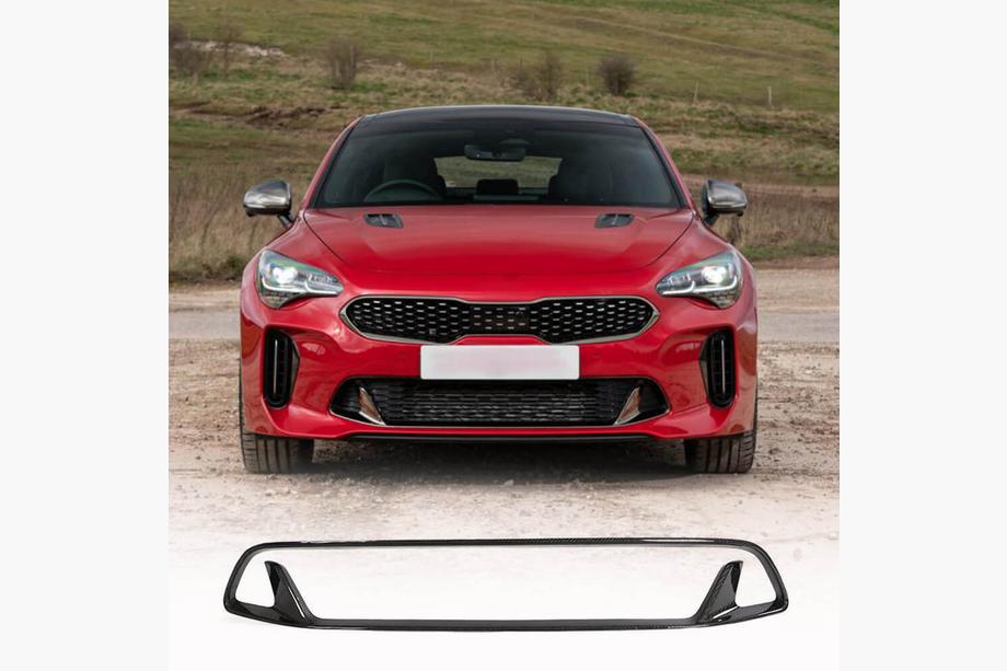Kia Stinger 2017-2023 Griglia paraurti (Carbonio) Image