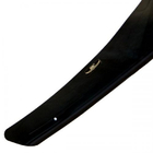 Lexus RX 1997-2002 Deflettore cofano (HIC) foto 2