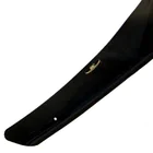 Lexus RX 2003-2009 Deflettore cofano (HIC) foto 2