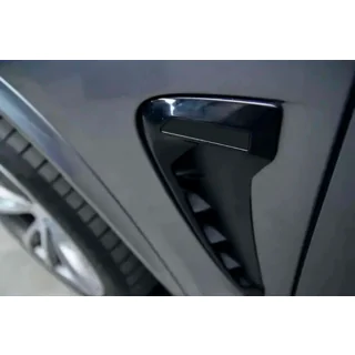 Branchie stile Black X5M F85