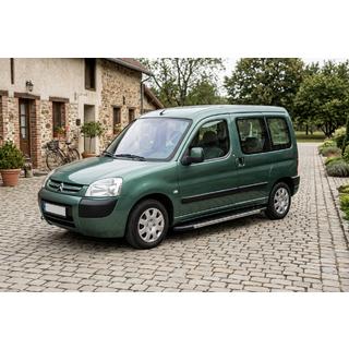 Pedane Laterali Duru (2 pz, Alluminio) Citroen Berlingo 1996-2008 foto 1