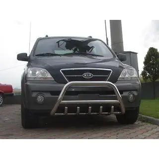 Parabullbar WT003 (Acciaio Inox) foto 3