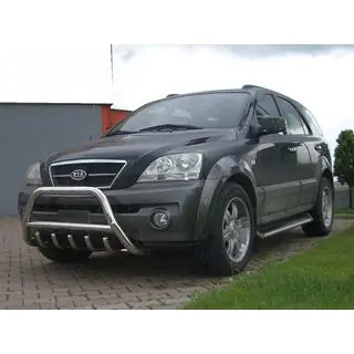 Parabullbar WT003 (Acciaio Inox) foto 2