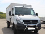 Mercedes Sprinter W906 2006–2018 Parabullbar WT003 (Acciaio Inox) 60mm, con scritta foto 1
