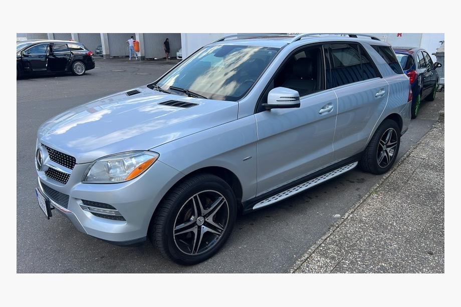 Mercedes GLE/ML class W166 2011-2018 Pedane Laterali Design Originale (2 pz., Alluminio) Foto 3