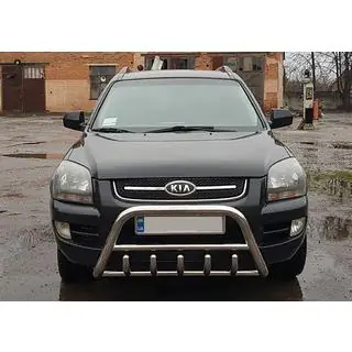 Parabullbar WT003 (Acciaio Inox) foto 4