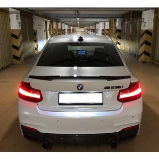 Spoiler stile M4 (per F22, primerizzato per verniciatura) foto 1