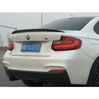 Spoiler P-Style (per F22, Nero Lucido)