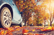Preparare l’auto per l’autunno: una necessità o una perdita di tempo? foto 1