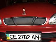 Daewoo Lanos 1998-2017 Copertura invernale griglia (superiore) foto 3