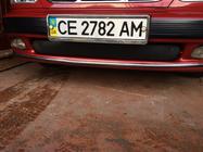 Daewoo Lanos 1998-2017 Copertura invernale per griglia (inferiore) foto 2