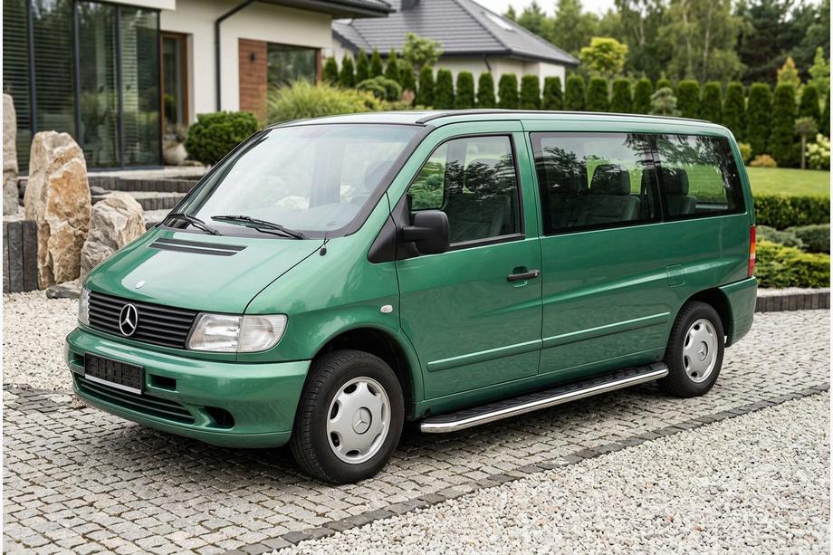 Mercedes Vito W638 1996-2003 Pedane Laterali Maydos V1 (2 pz, Alluminio e Acciaio Inox) Foto 1