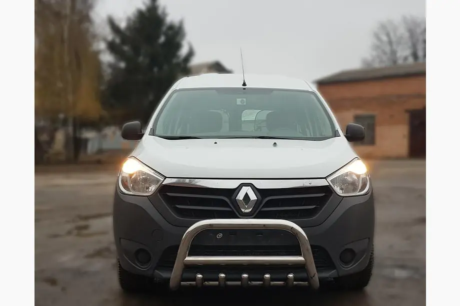 Renault Lodgy 2013-2022 Paraurti Anteriore WT003 (Acciaio Inox) Image
