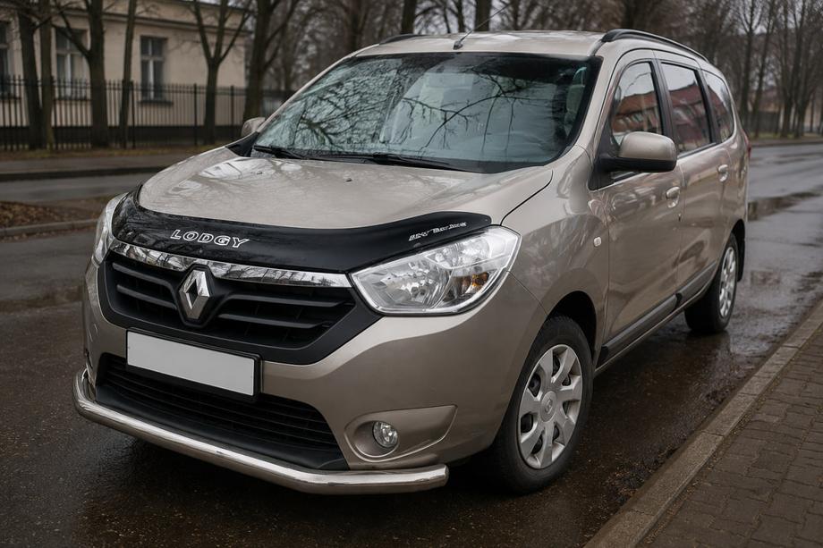 Dacia Lodgy 2012-2022 Protezione Anteriore ST008 (Acciaio Inox) Foto 3