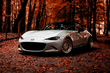 Cura dell’auto in autunno: 5 regole importanti foto 1