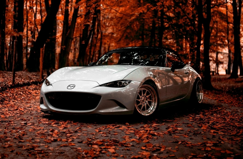 Cura dell’auto in autunno: 5 regole importanti