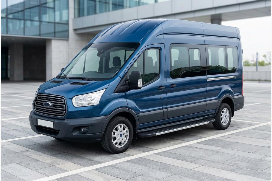Ford Transit 2014- Pedane Laterali Duru (2 pz, Alluminio) Image