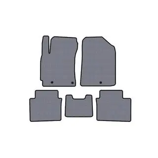 Tappetini in gomma Carsuit (2018-2021, grigio)