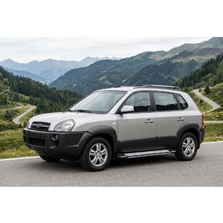 Pedane Laterali Rainbow (2 pz, Alluminio) Hyundai Tucson JM 2004- foto 1