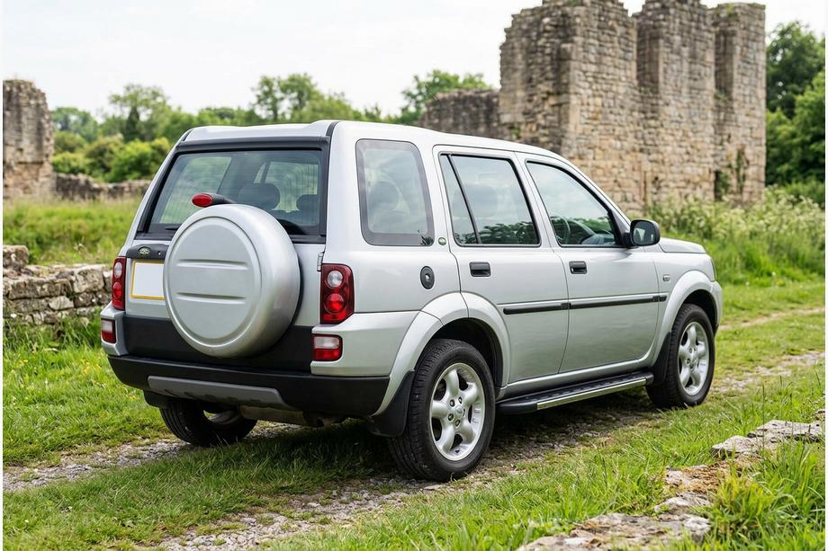 Land Rover Freelander I 1997-2006 Pedane Laterali Duru (2 pz, Alluminio) Image