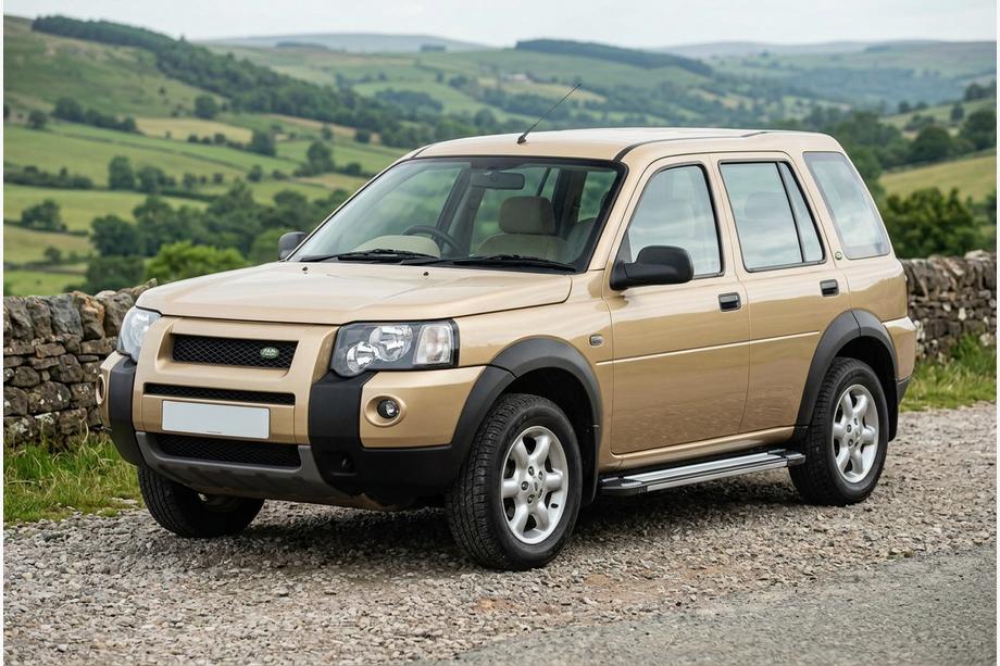 Land Rover Freelander I 1997-2006 Pedane Laterali Rainbow (2 pz, Alluminio) Image