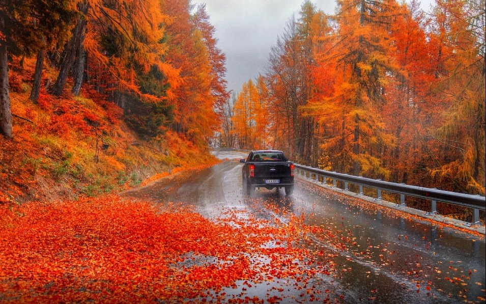 Quali pericoli nasconde l’autunno per gli automobilisti?