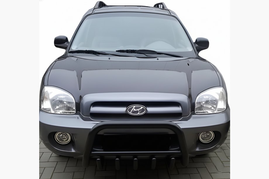 Hyundai Santa Fe 1 2000-2006 Parabulloni WT003 Nero (Acciaio Inox) Foto 3