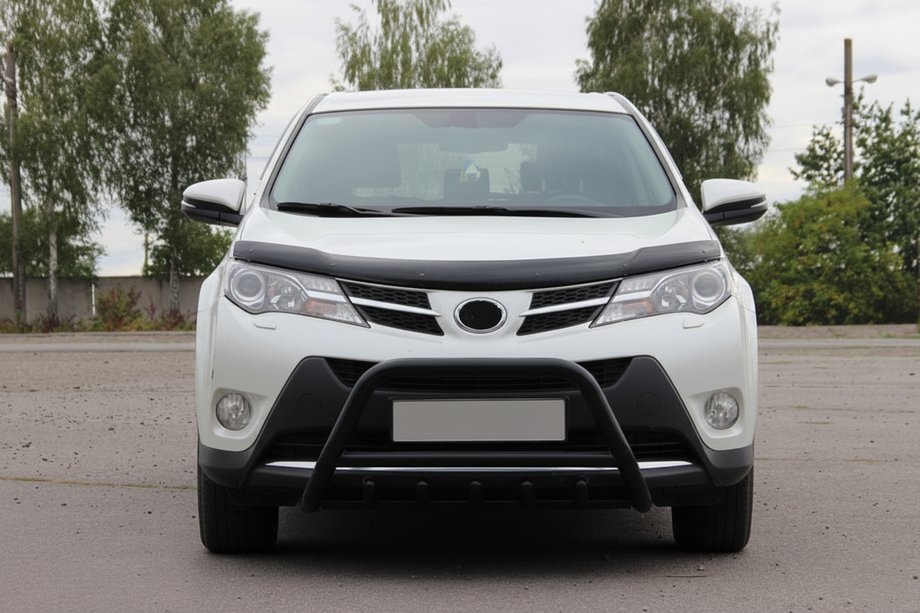 Toyota Rav 4 2013-2018 Parabullbar WT003 Nero Acciaio Inox Image