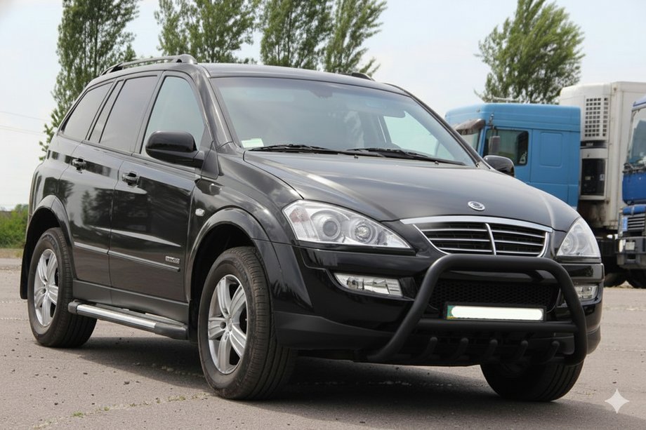 SsangYong Action 2005-2018 Parabullbar WT003 Nero Acciaio Inox Image