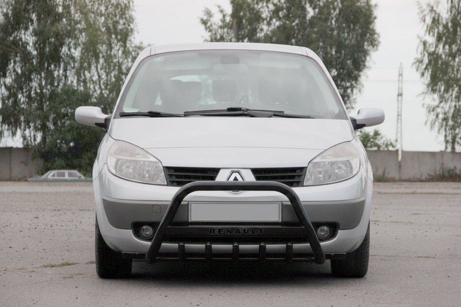 Renault Scenic/Grand 2003-2009 Parabulloni WT004 Nero (Acciaio Inox) Image