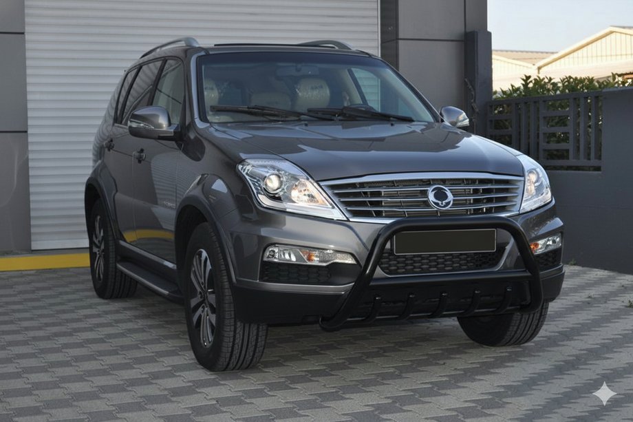 SsangYong Rexton I 2001-2017 Parabullbar WT003 Nero Acciaio Inox Foto 3