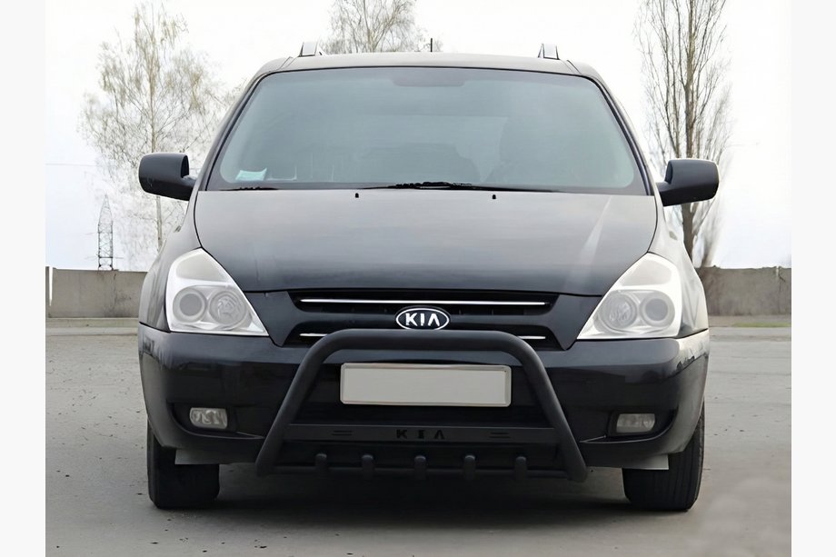 Kia Carnival 2002-2013 Parabulloni WT004 Nero (Acciaio Inox) Image