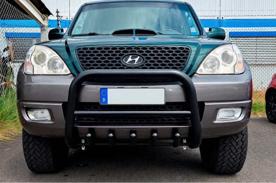 Hyundai Terracan 2001-2007 Parabullbar WT003 Nero Acciaio Inox Image