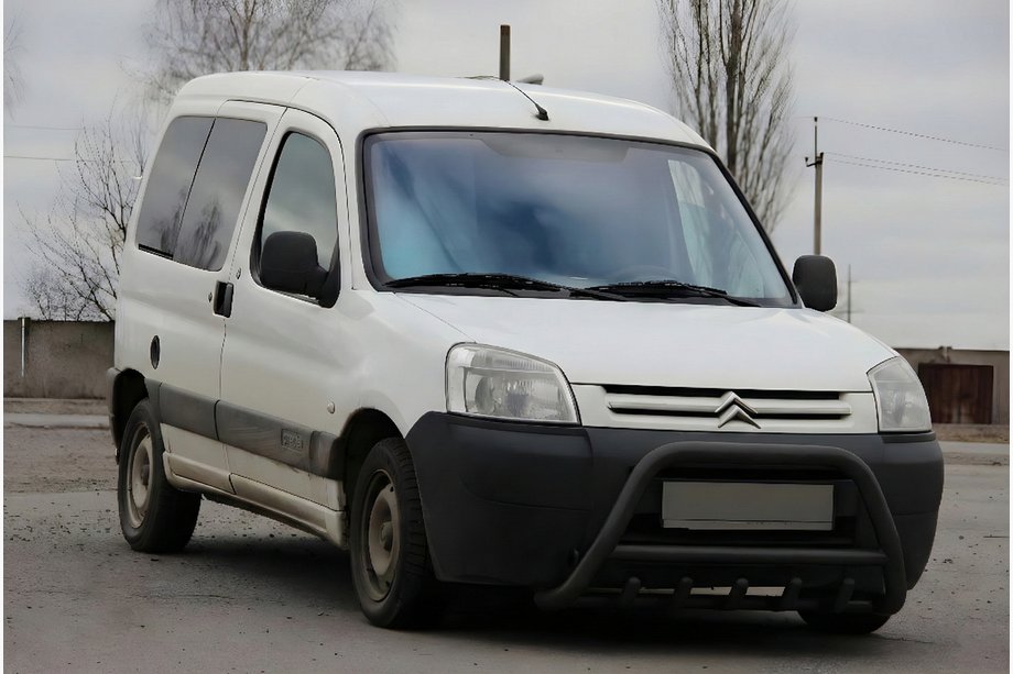 Citroen Berlingo 1996-2008 Parabullbar WT003 Nero Acciaio Inox Image
