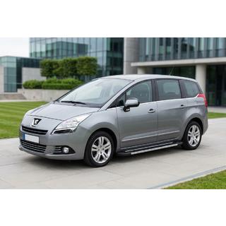 Pedane Laterali RedLine V1 (2 pz, Alluminio) Peugeot 5008 2009-2016 foto 1
