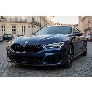Griglia 1-Bar (2018-2022, Nero Lucido) BMW 8 Series G14/G15/G16 2018- foto 1