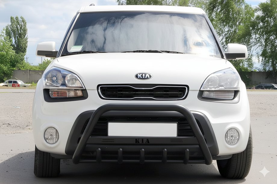 Kia Soul I 2008-2013 Parabulloni WT004 Nero (Acciaio Inox) Image