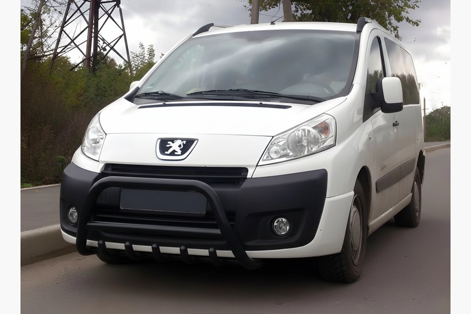 Citroen Jumpy 2007–2017 Parabullbar WT003 Nero Acciaio Inox Image