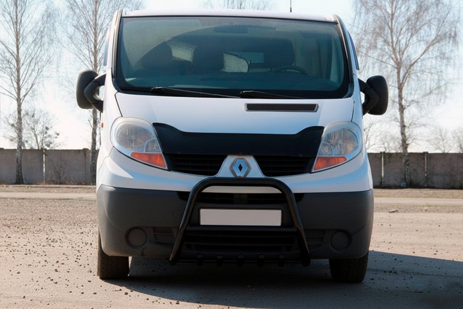 Renault Trafic 2001–2015 Parabulloni QT-Spec Nero (Acciaio Inox) Image