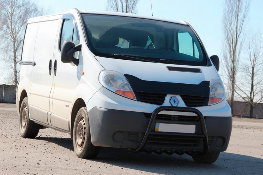 Nissan Primastar 2002-2014 Parabulloni QT-Spec Nero (Acciaio Inox) Foto 2