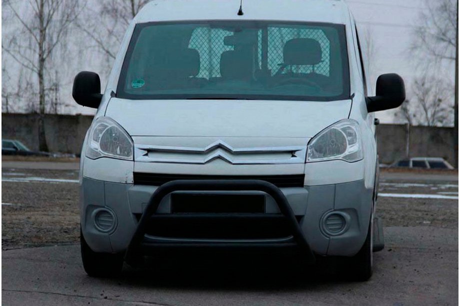 Peugeot Partner Tepee 2008-2018 Parabulloni WT022 Nero (Acciaio Inox) Image