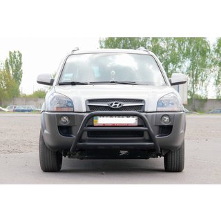 Parabulloni WT022 Nero (Acciaio Inox) Hyundai Tucson JM 2004- foto 1