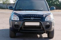 Hyundai Tucson JM 2004- Parabulloni WT025 Nero (Acciaio Inox) foto 3