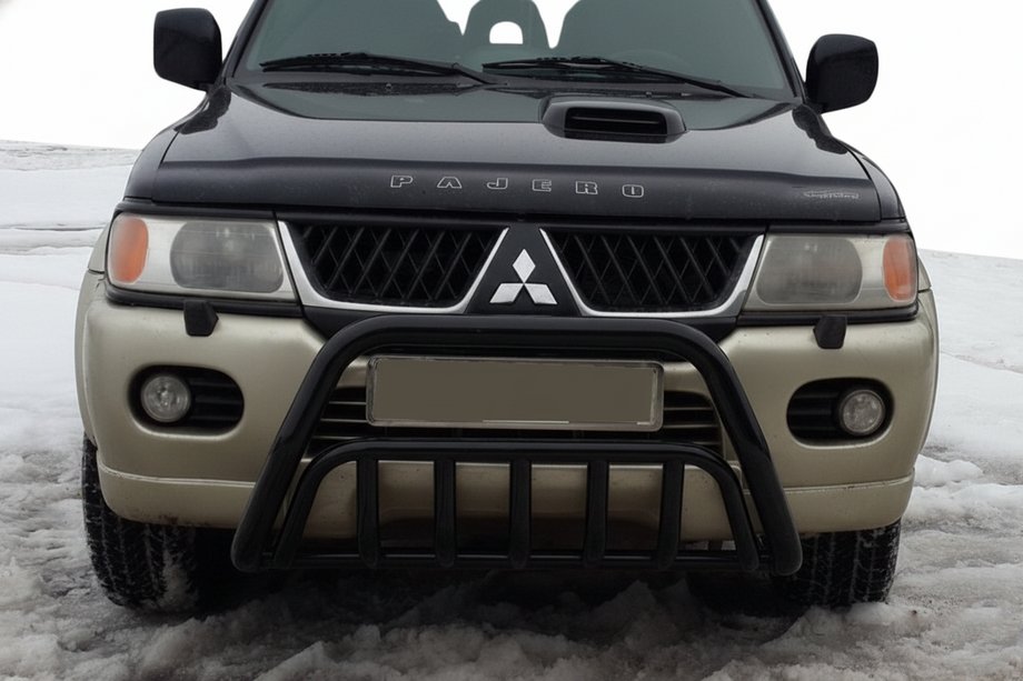 Mitsubishi Pajero Sport 1996-2007 Parabulloni WT002 Nero (Acciaio Inox) Foto 1