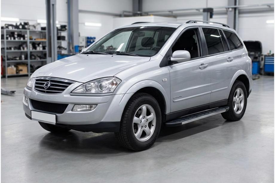 SsangYong Kyron 2005-2014 Pedane Laterali Duru (2 pz, Alluminio) Image