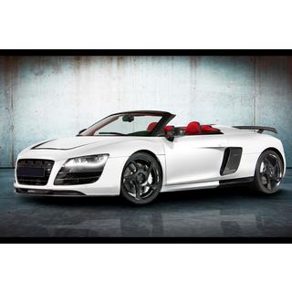 Kit carrozzeria MNSR Carbon (per Spyder) foto 3