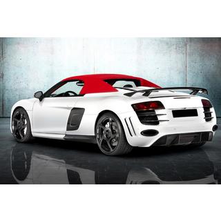 Kit carrozzeria MNSR Carbon (per Spyder) foto 2