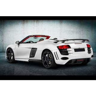 Kit carrozzeria MNSR Carbon (per Spyder) foto 4